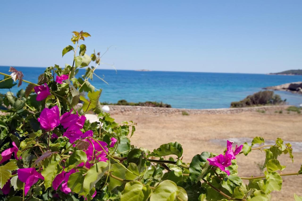 Aroura Homes 4Br Beachfront Villa Spetses Town ภายนอก รูปภาพ